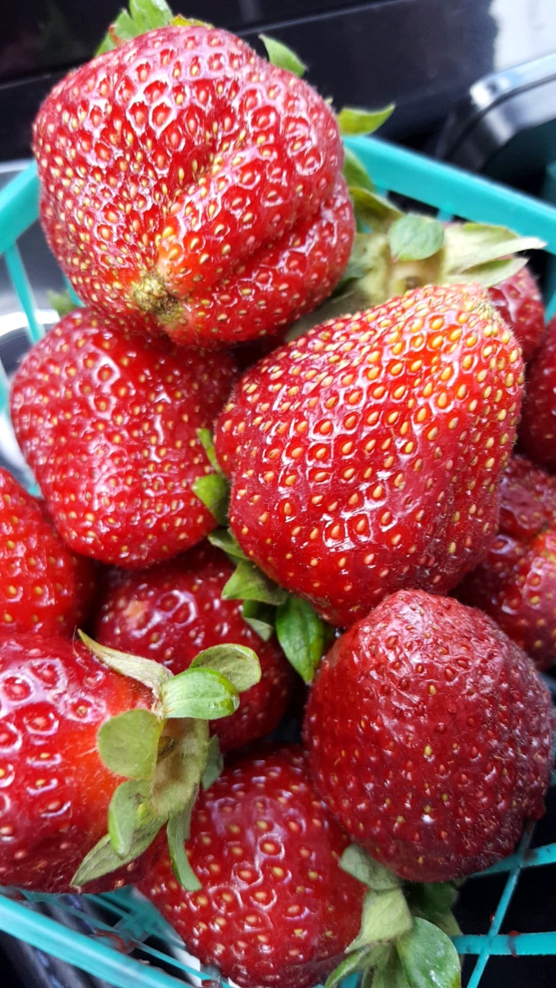 Oakhurst Fruit Stand gallery 7